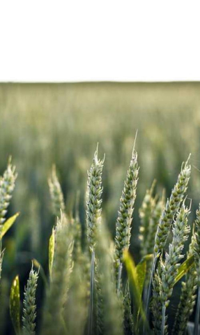 春酒・尾牙・旺年會-活動照片